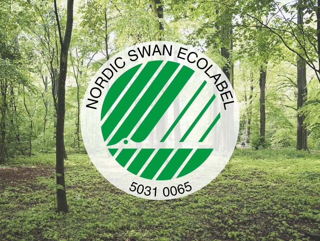 Hoppekids ECO Dream Toddler Bed / Μονό μασίφ κρεβάτι χρώμα 